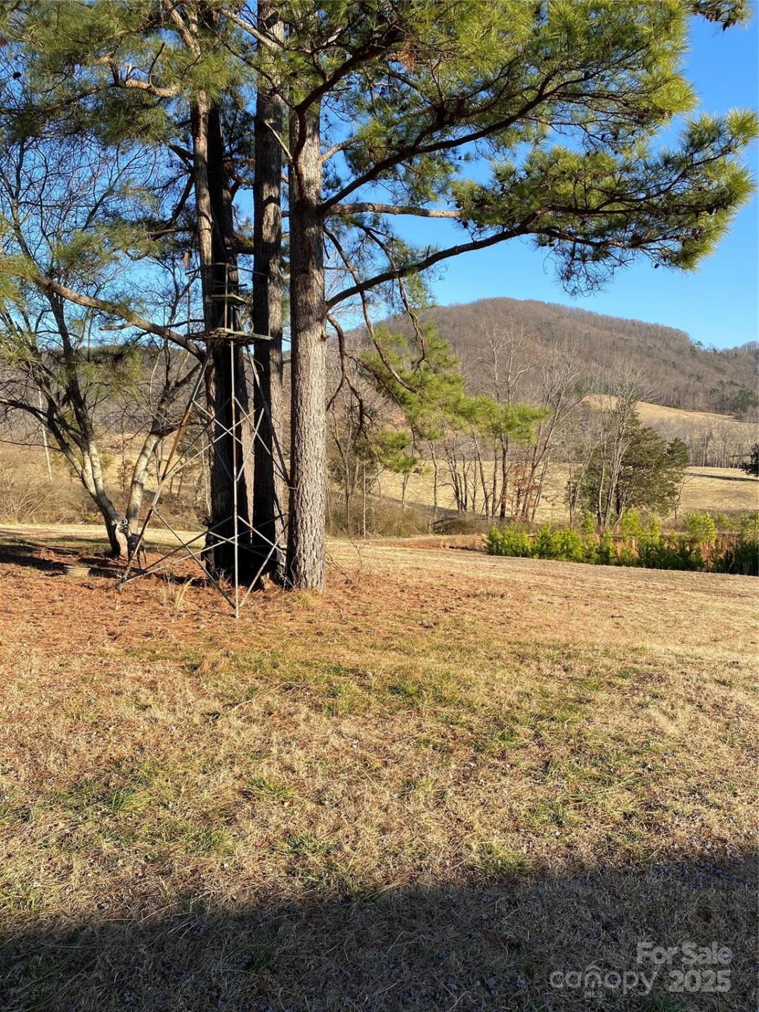 1180 Calton Road - Photo 15
