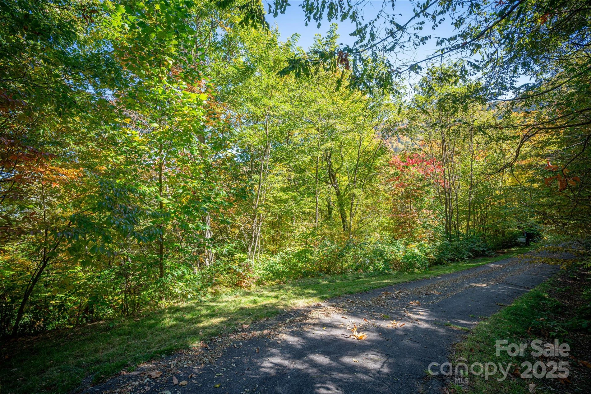 202 Nuthatch Lane #202 & 203 - Photo 3