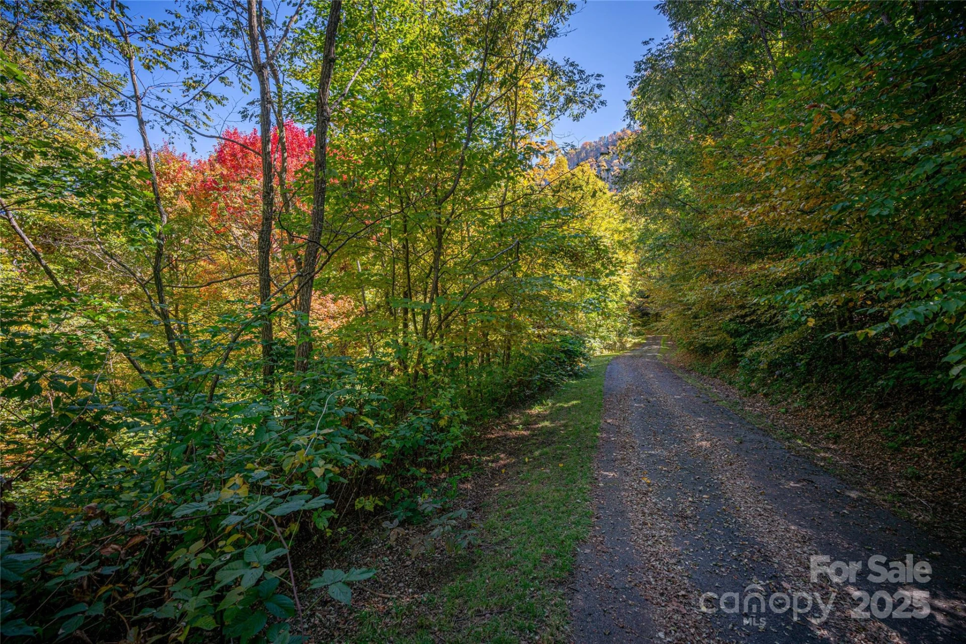 202 Nuthatch Lane #202 & 203 - Photo 6
