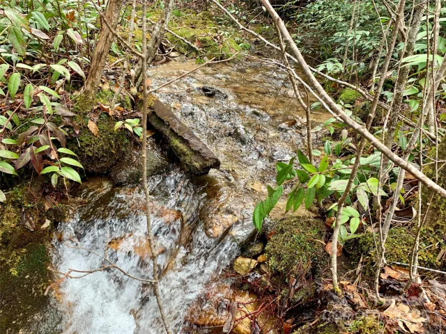 Lot 64 Peppervine Circle, Rosman, NC, 28772