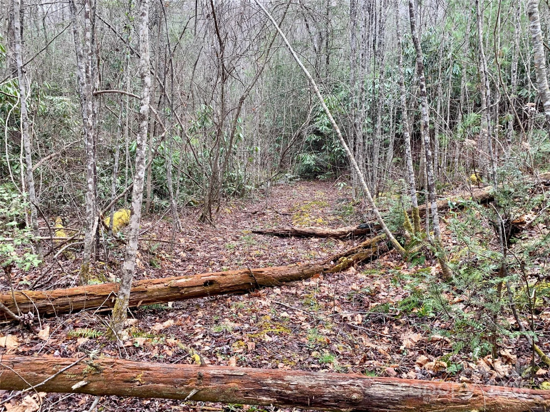 Lot 64 Peppervine Circle - Photo 4