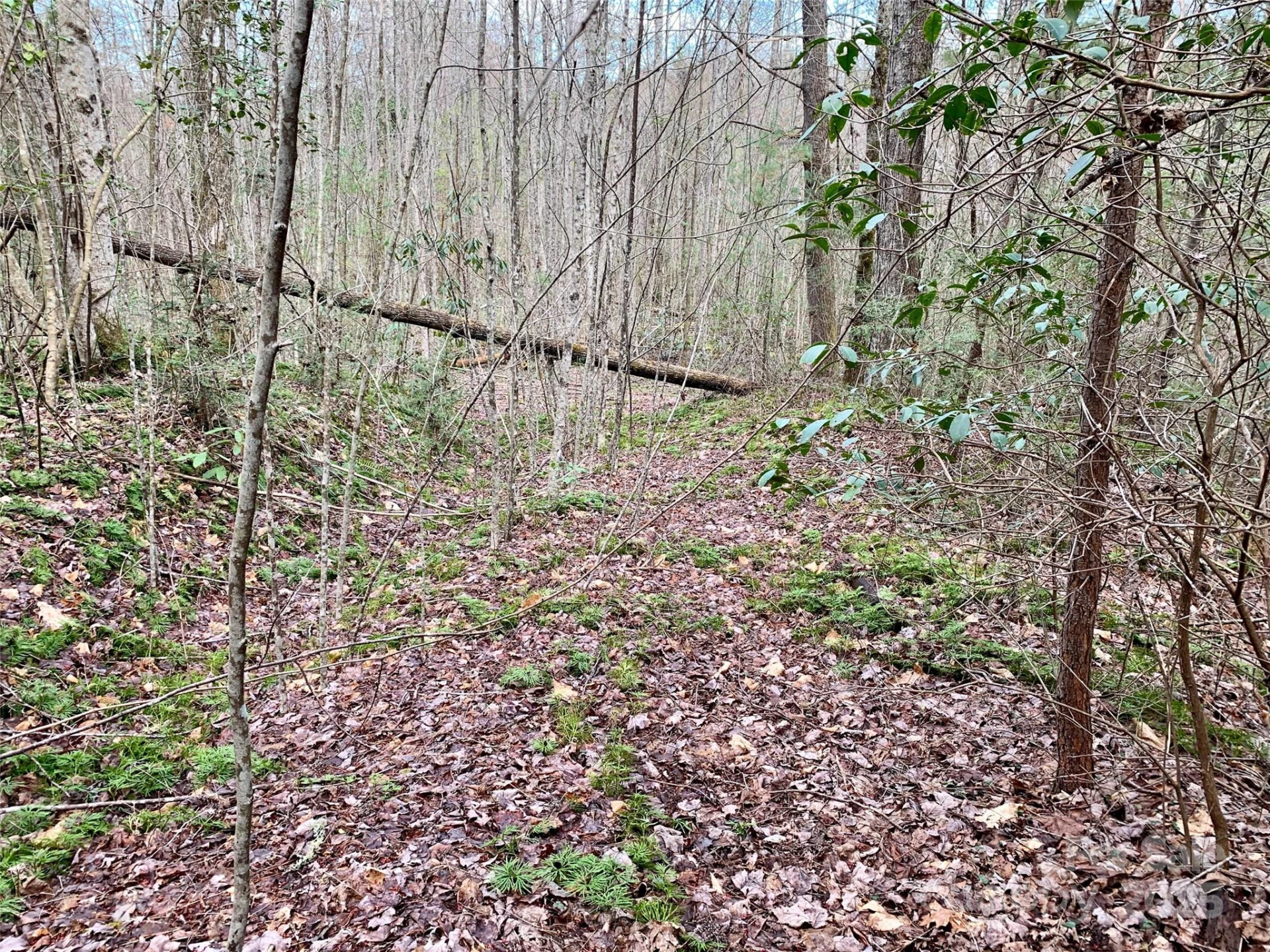 Lot 64 Peppervine Circle - Photo 8