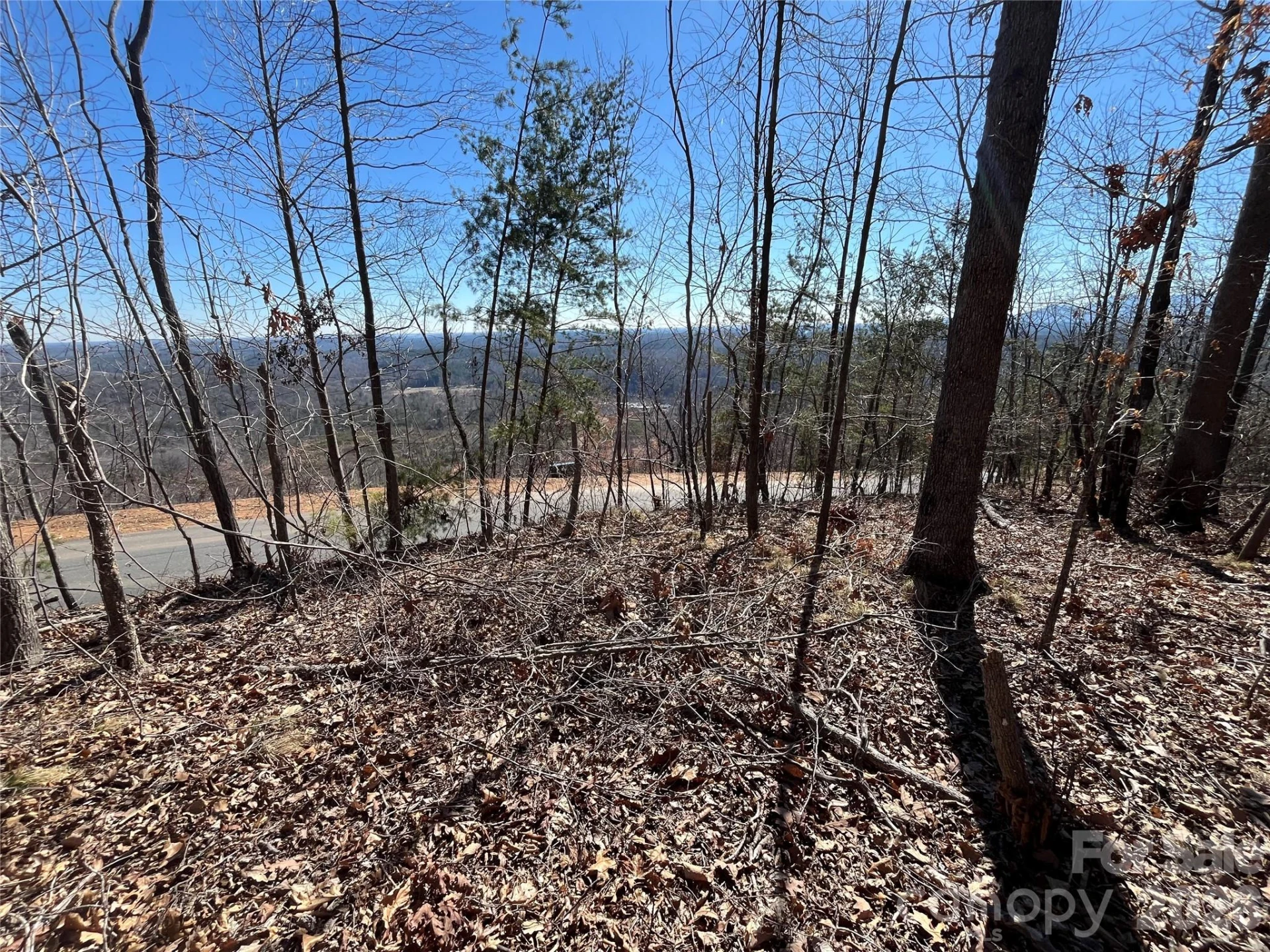 0 Bills Mountain Trail #7 - Photo 3