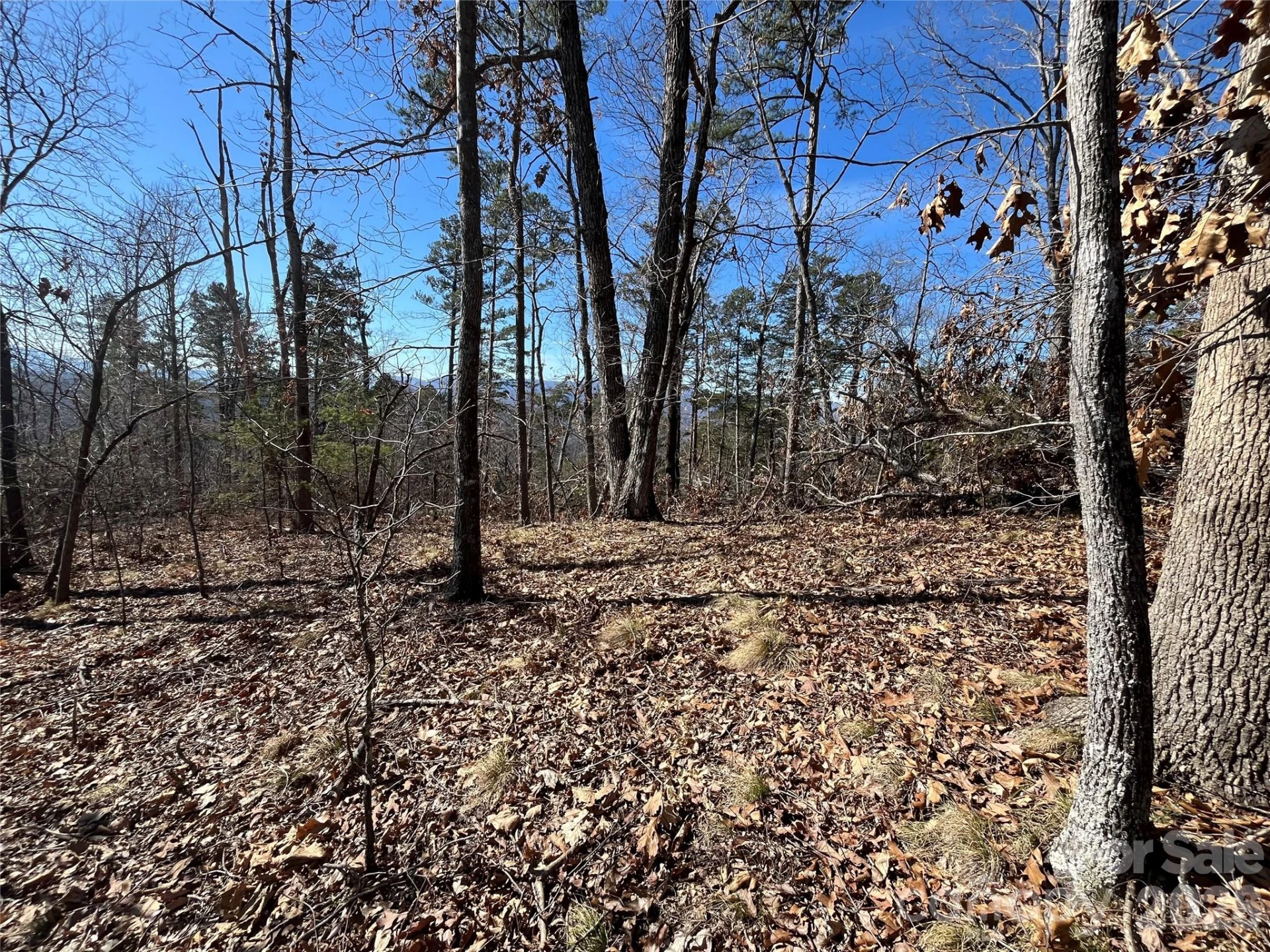 0 Bills Mountain Trail #7 - Photo 2