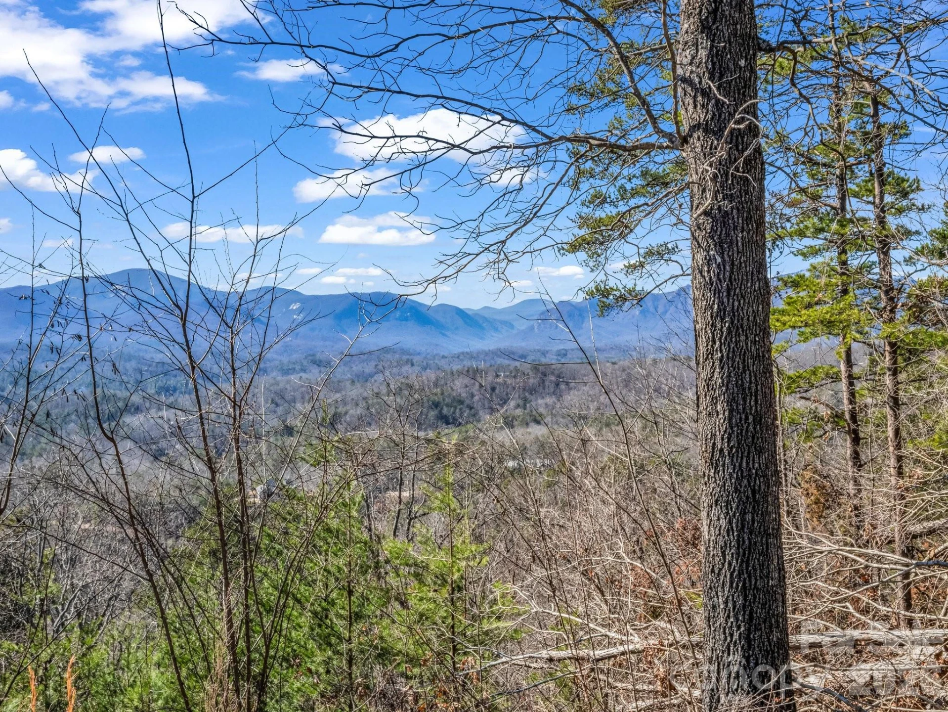 0 Bills Mountain Trail #7