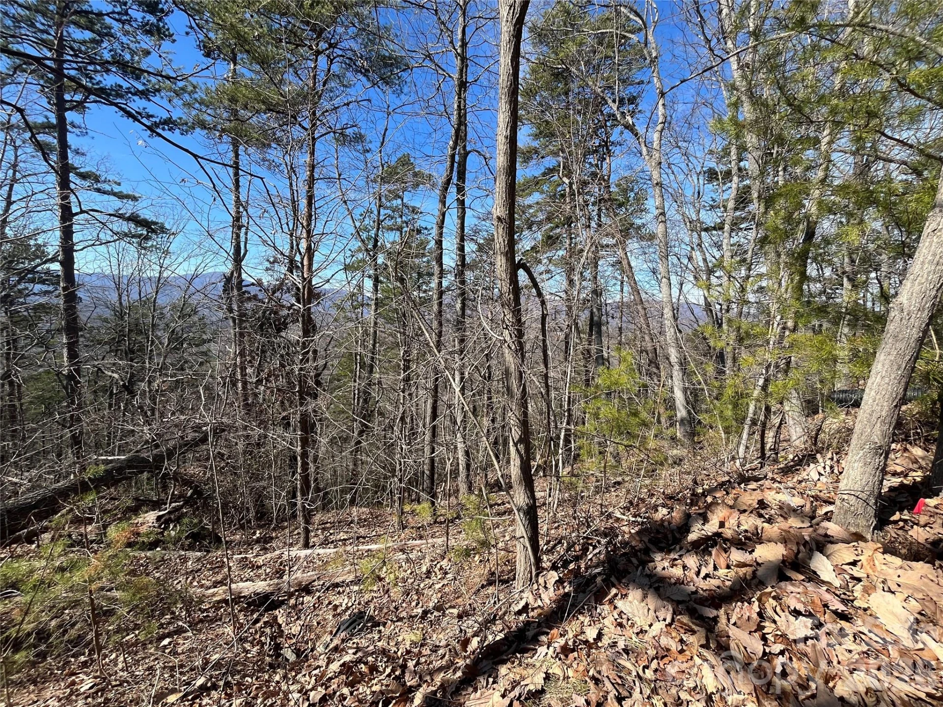 0 Bills Mountain Trail #7 - Photo 6