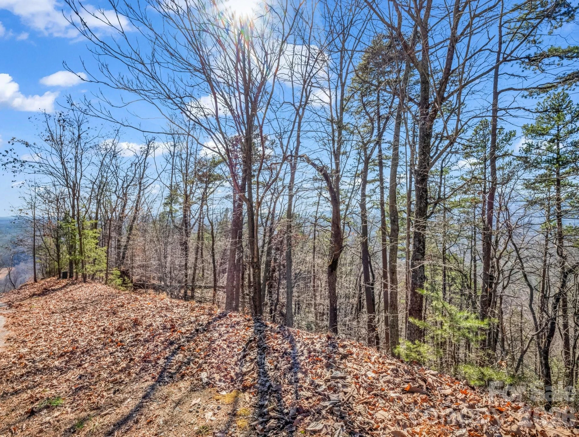 0 Bills Mountain Trail #7 - Photo 8