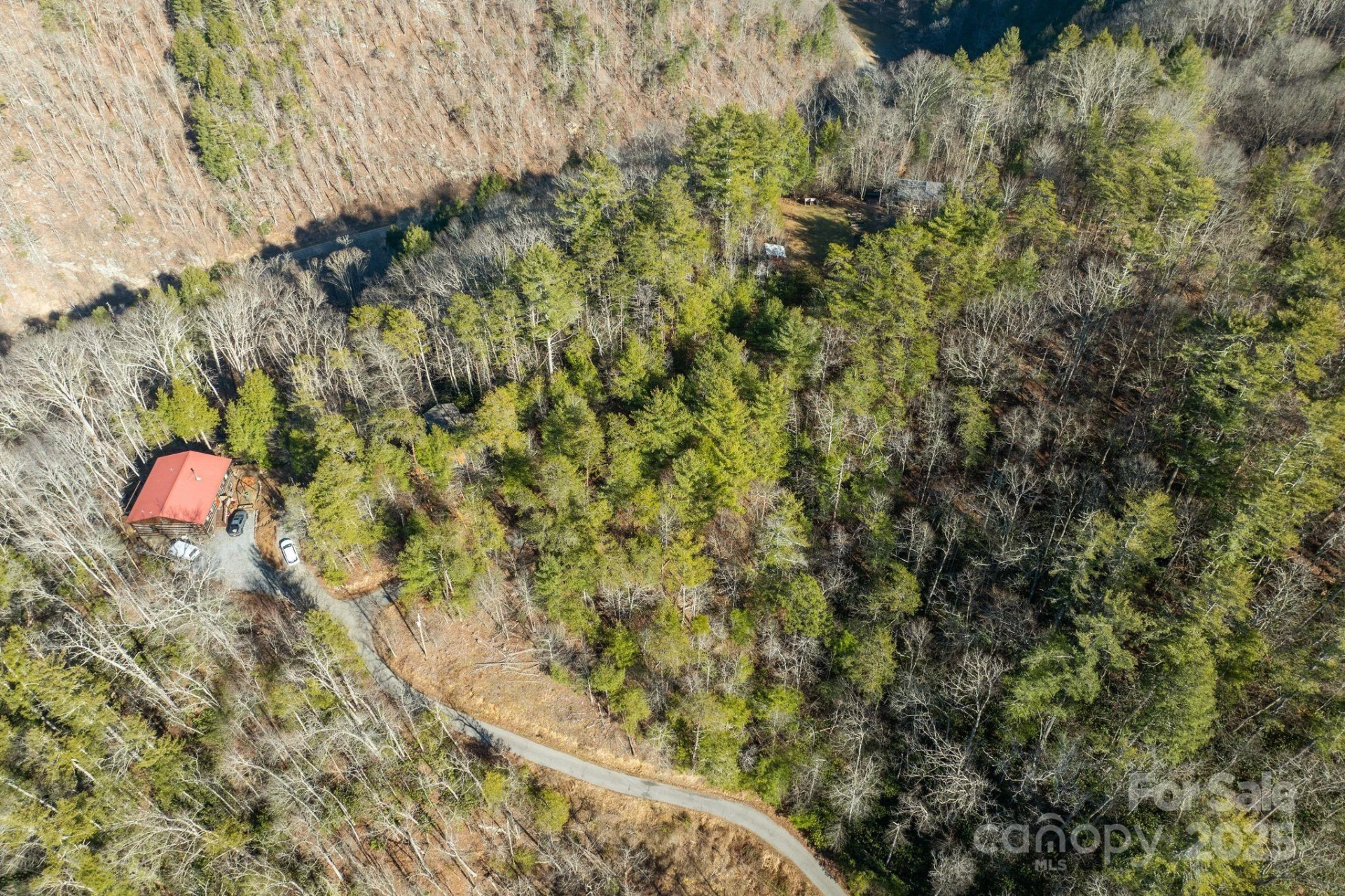 131 Ivy Bluff Road #3 - Photo 3