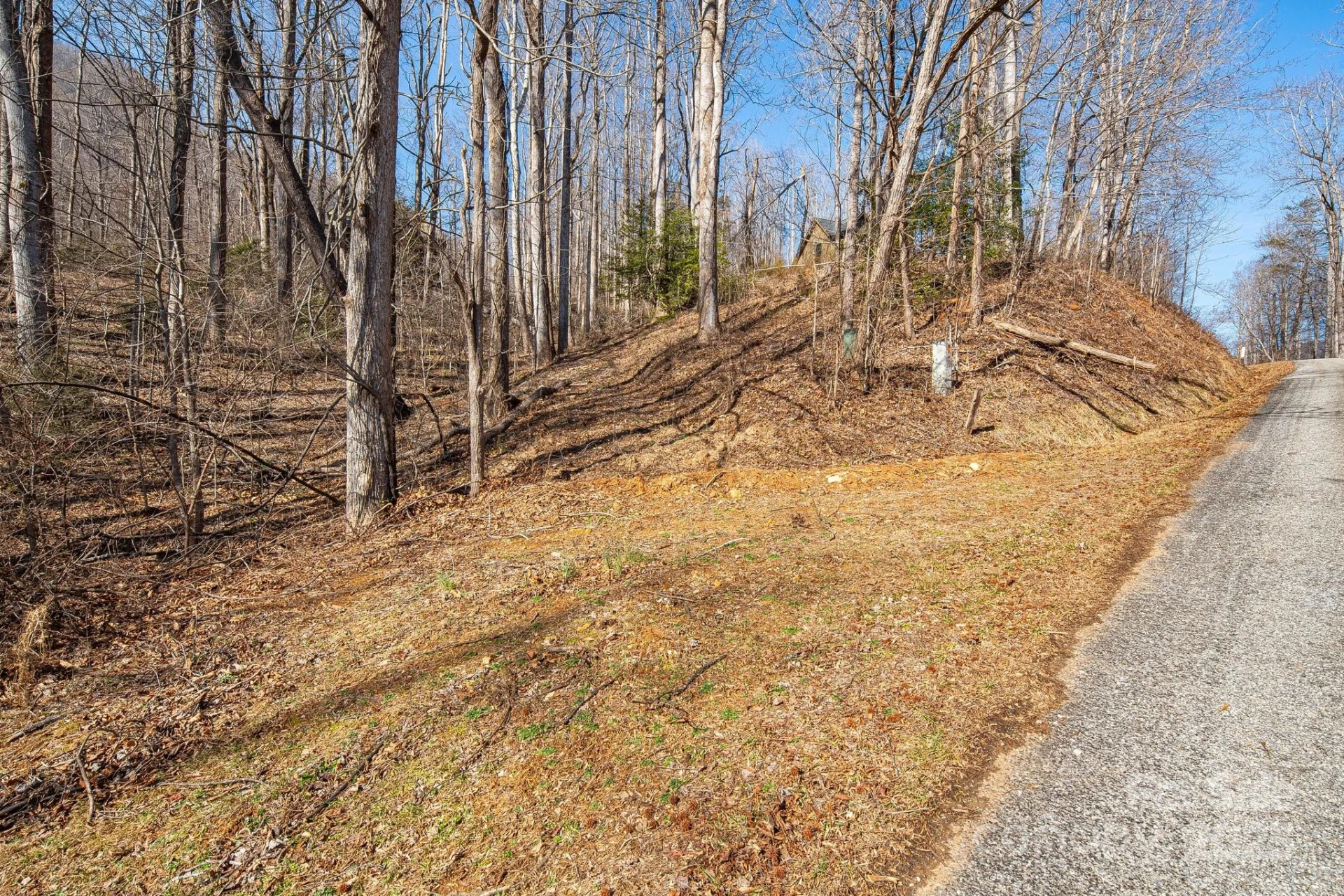 000 Blue Ridge Drive N #164 - Photo 2