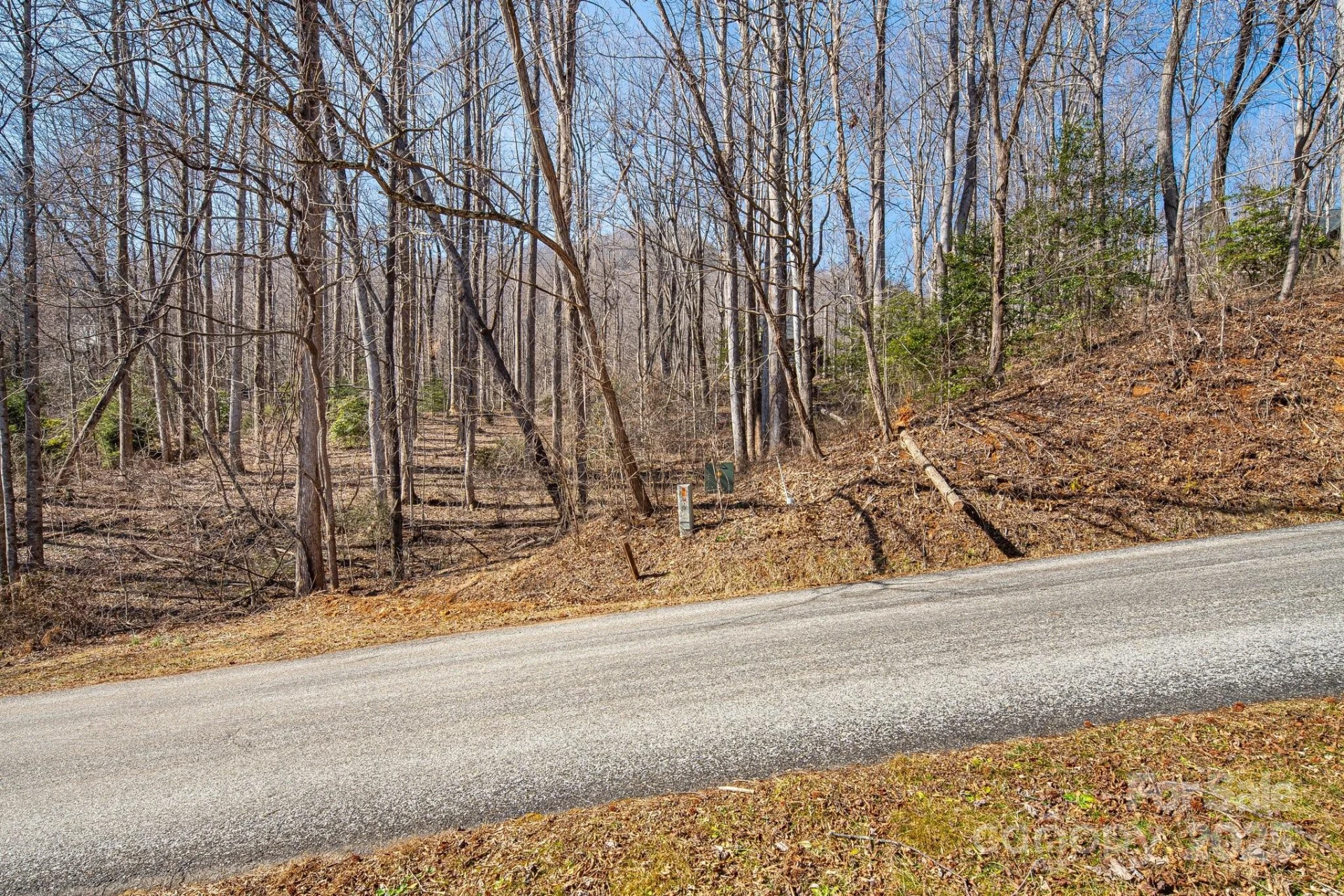 000 Blue Ridge Drive N #164 - Photo 3