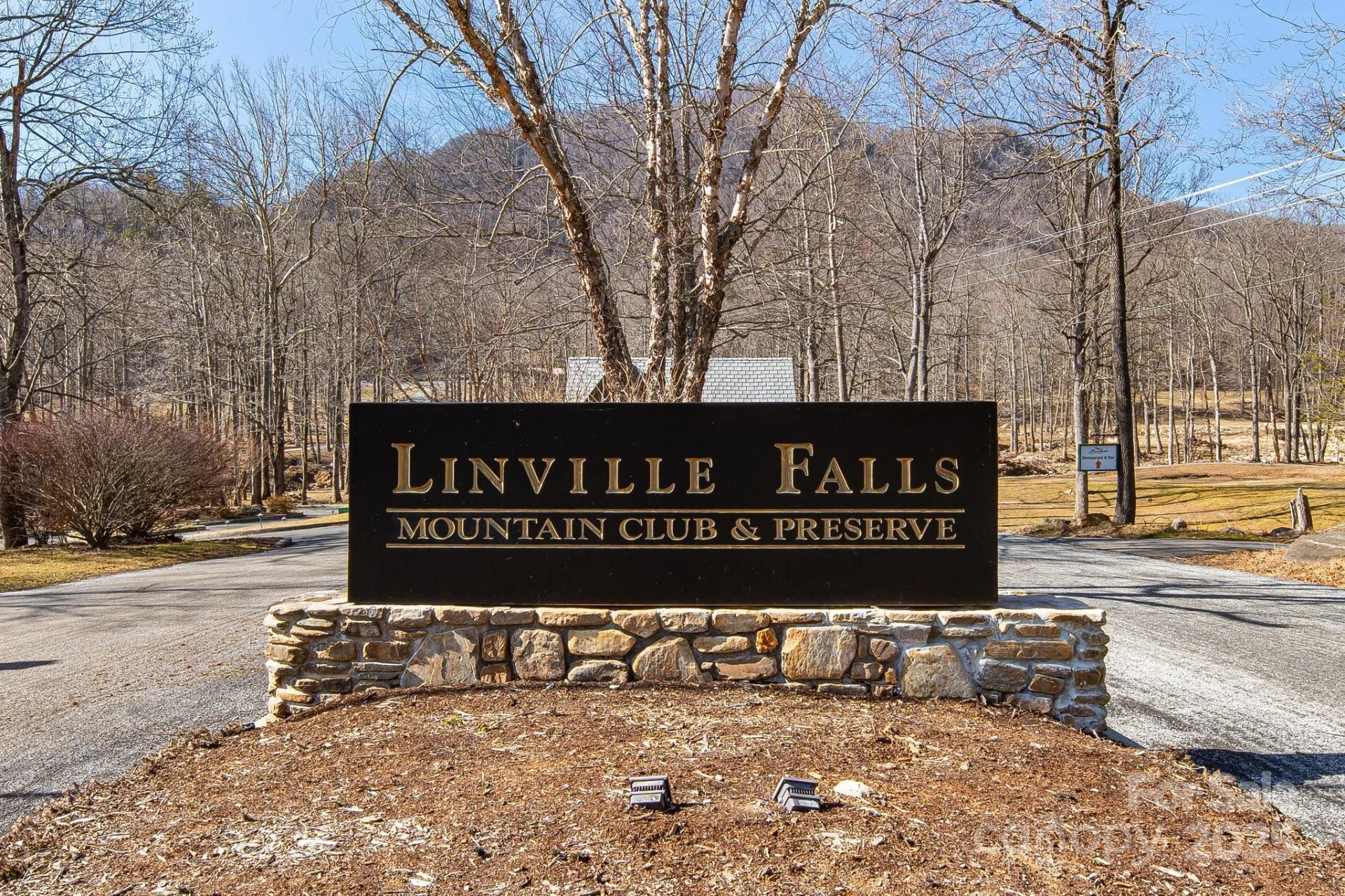 000 Blue Ridge Drive N #164 - Photo 23