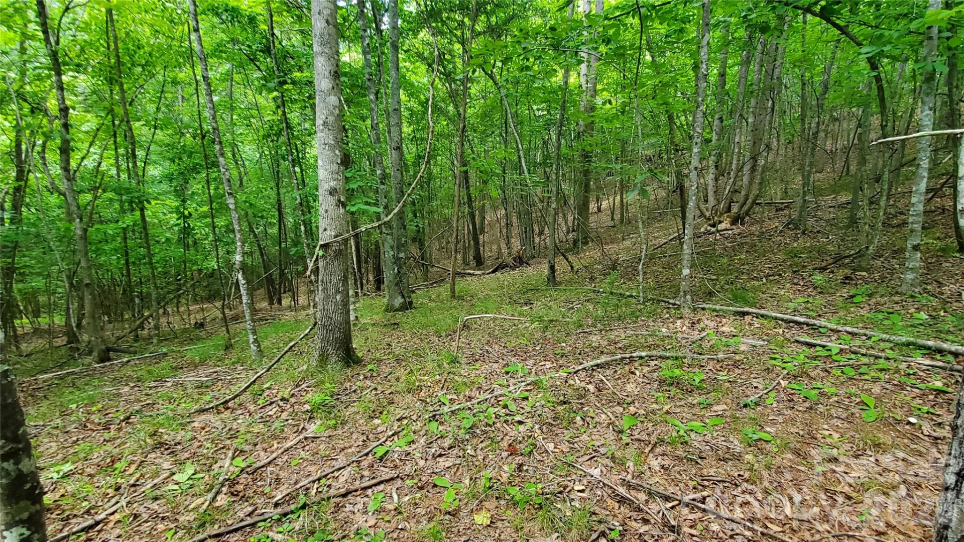 755 Hamilton Drive - Photo 20