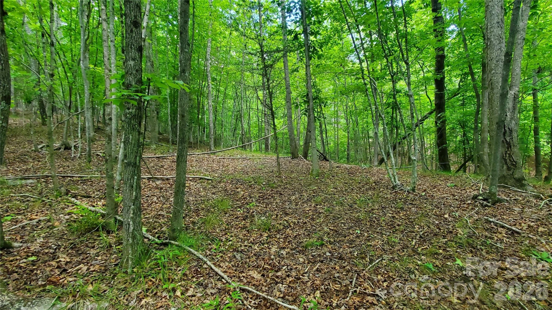 755 Hamilton Drive - Photo 22