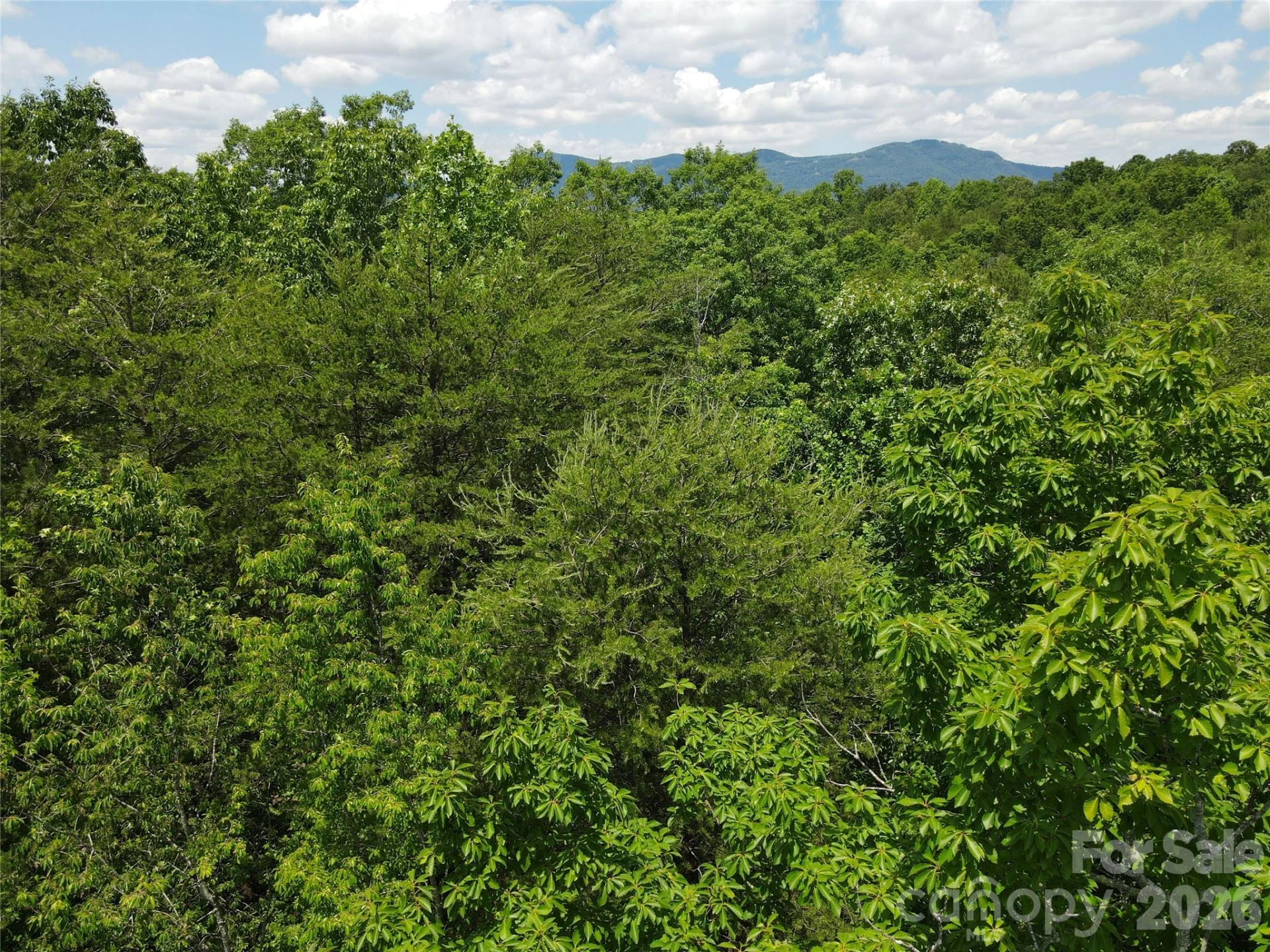 755 Hamilton Drive - Photo 33