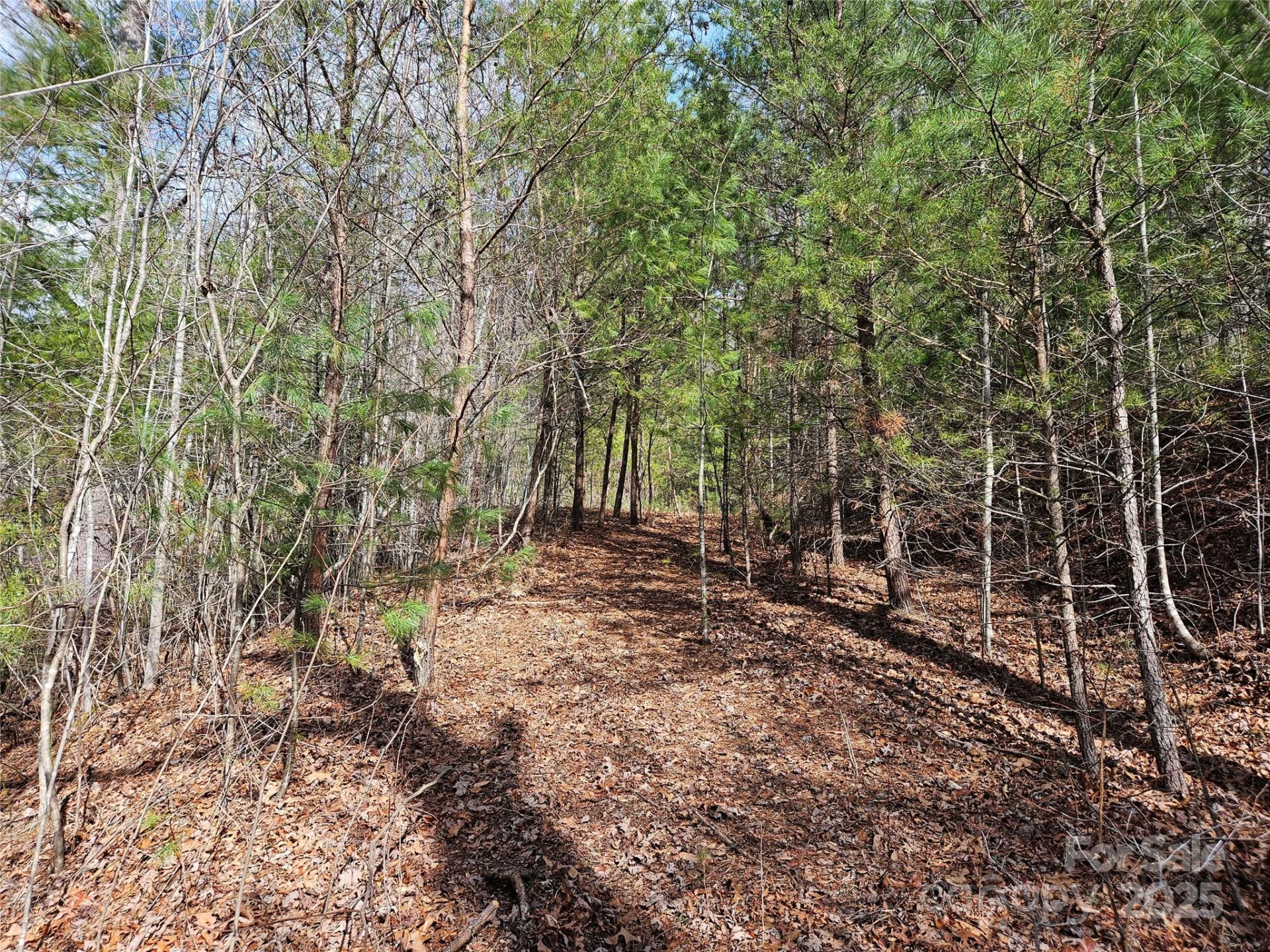 00 Wispy Willow Drive #24T - Photo 7