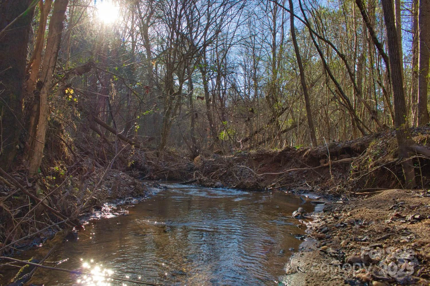 0 Clearwater Parkway #209 - Photo 2