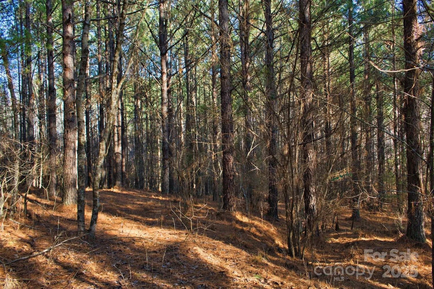 0 Clearwater Parkway #209 - Photo 6