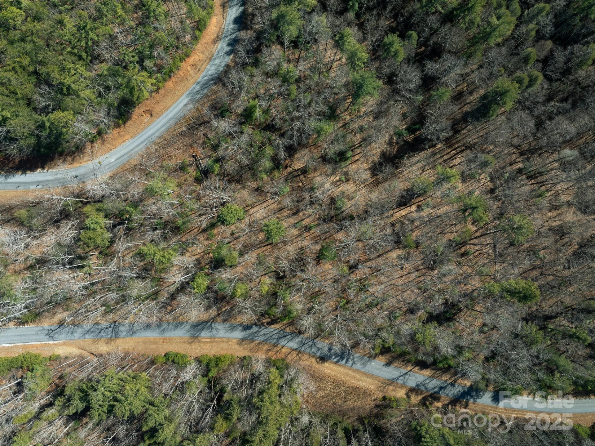 761 High Trail Drive #39 - Photo 2