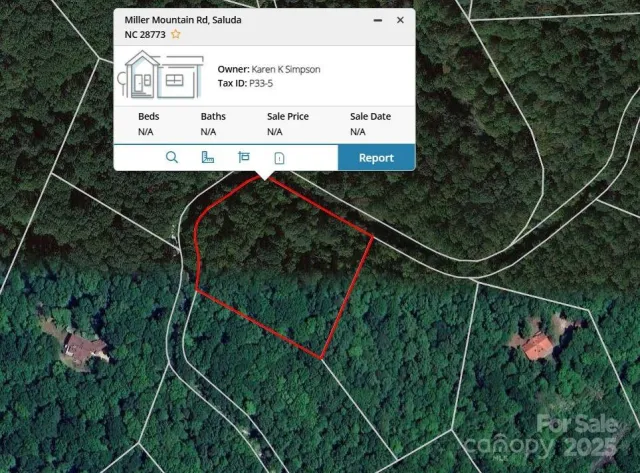 0000 TBD Miller Mountain Road, Saluda, NC, 28773