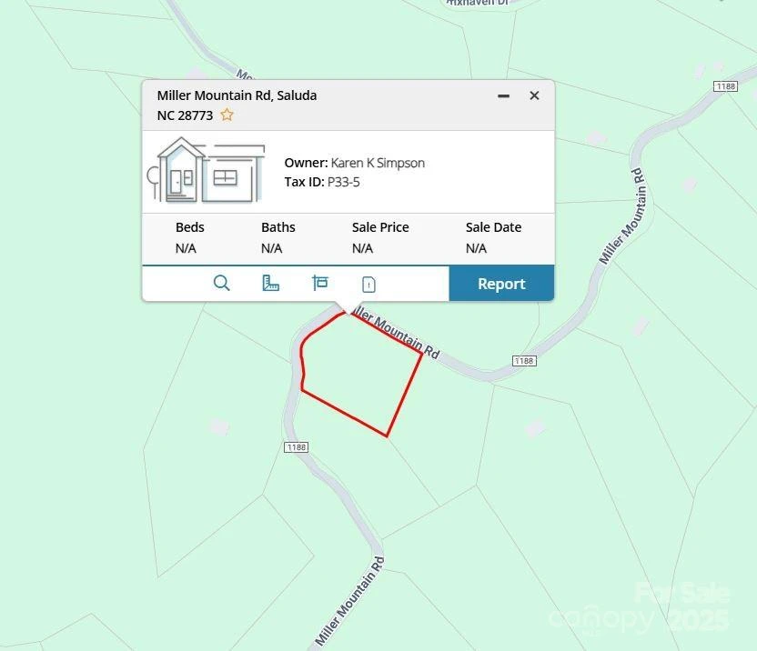 0000 TBD Miller Mountain Road - Photo 2