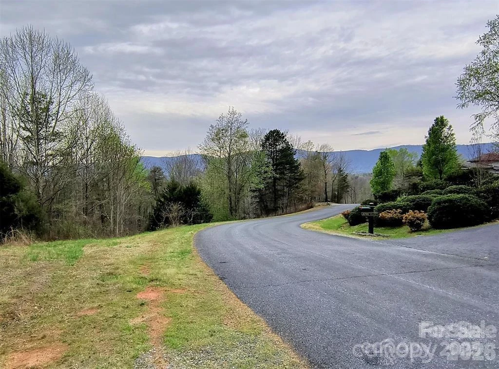 Lot #28 Lake Adger Parkway - Photo 11