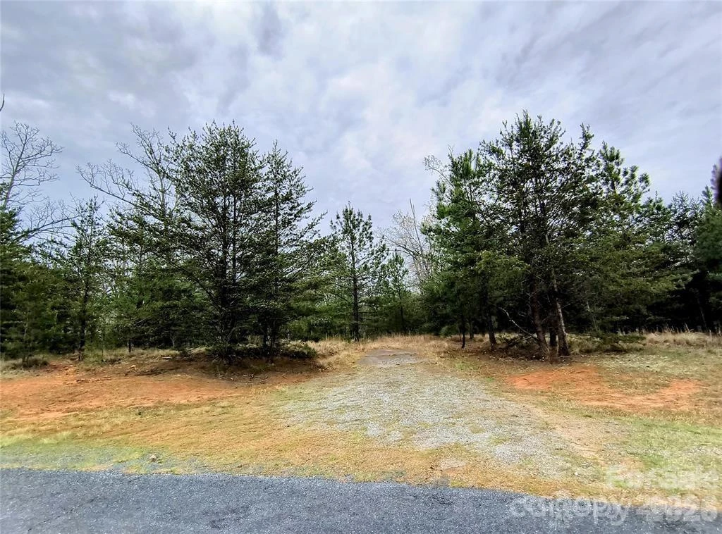 Lot #28 Lake Adger Parkway - Photo 12
