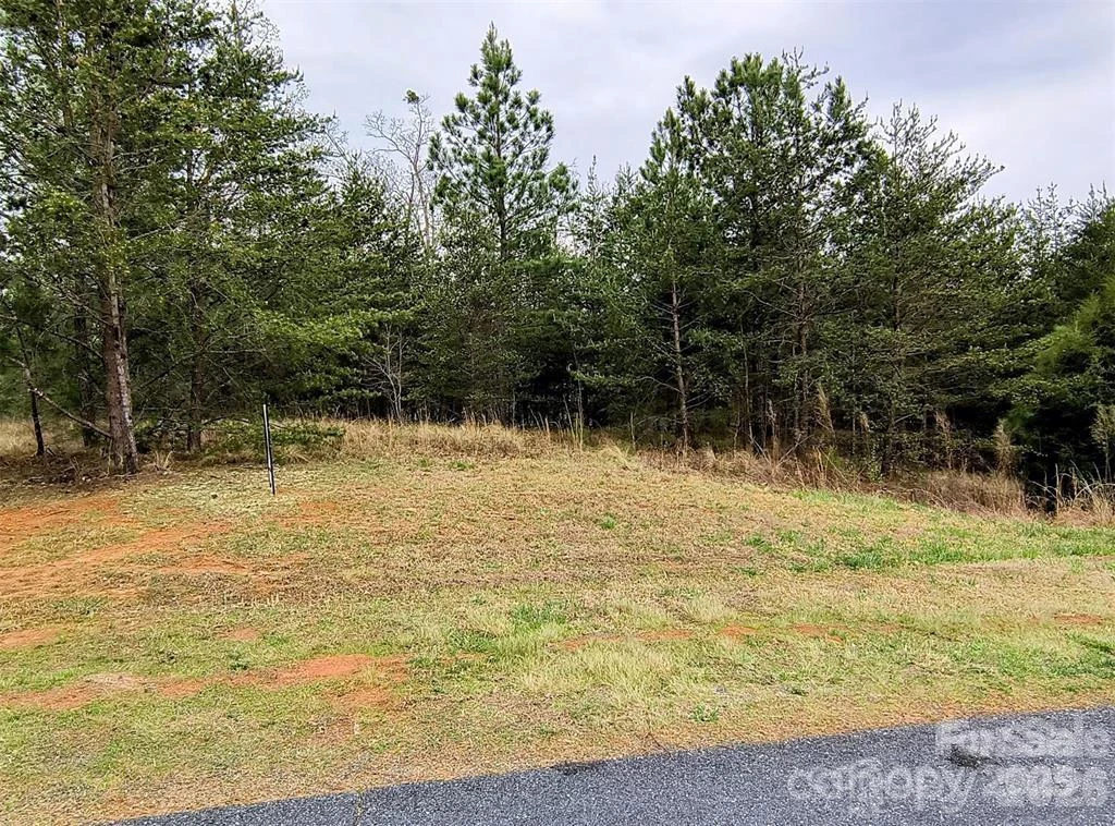 Lot #28 Lake Adger Parkway - Photo 13