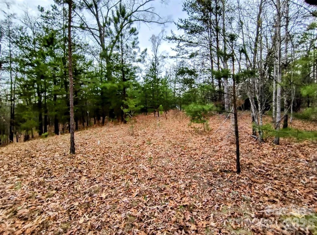 Lot #28 Lake Adger Parkway - Photo 14