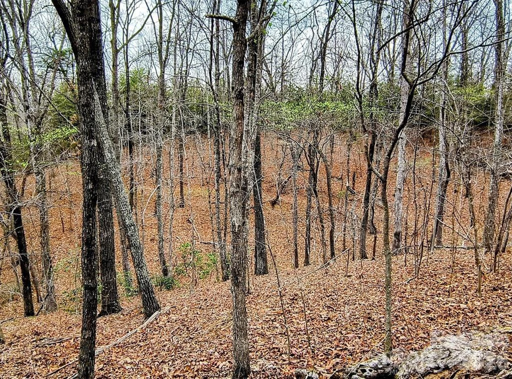 Lot #28 Lake Adger Parkway - Photo 15