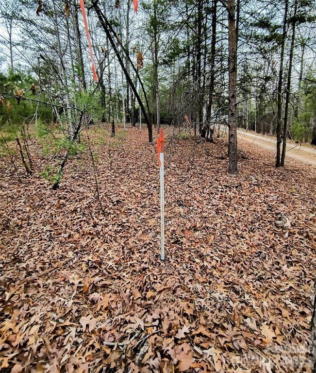 Lot #28 Lake Adger Parkway - Photo 16