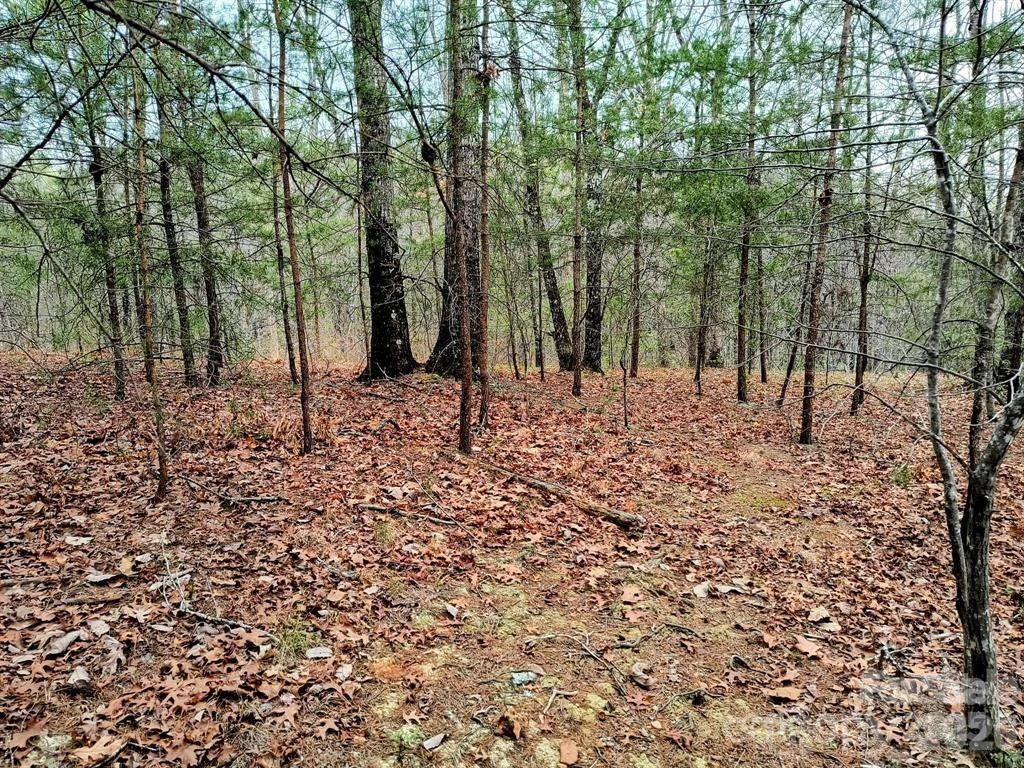 Lot #28 Lake Adger Parkway - Photo 17
