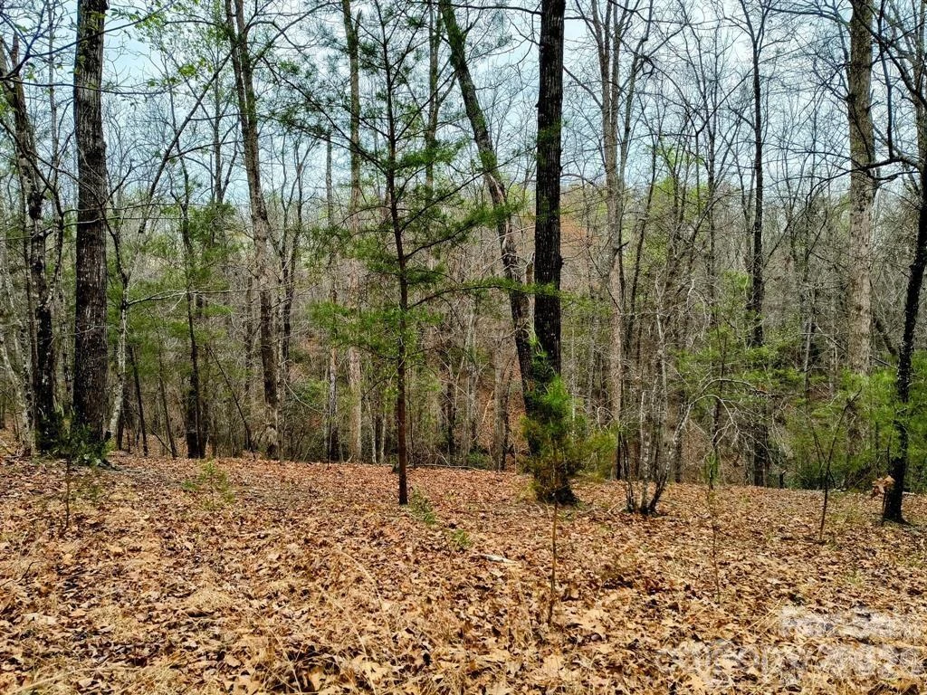 Lot #28 Lake Adger Parkway - Photo 18