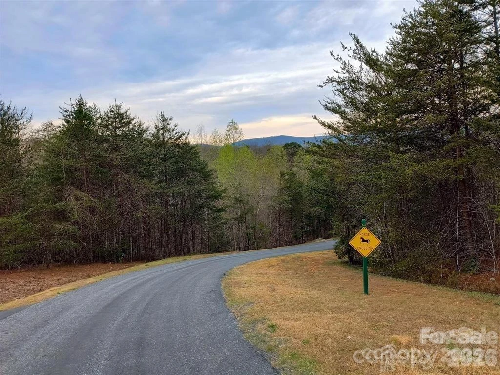 Lot #28 Lake Adger Parkway - Photo 19