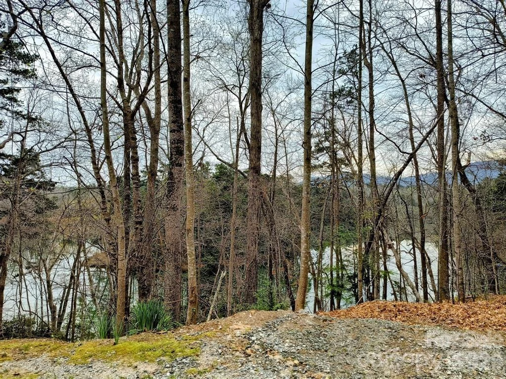 Lot #28 Lake Adger Parkway - Photo 20