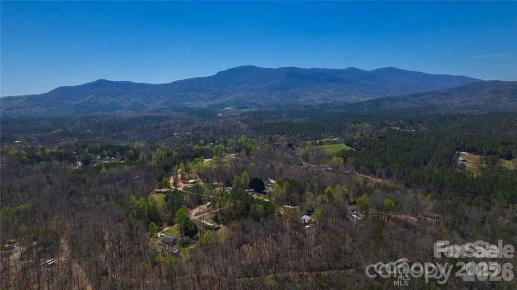 Lot #28 Lake Adger Parkway - Photo 22