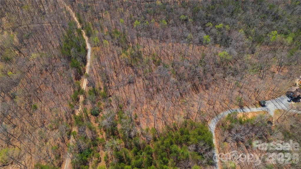 Lot #28 Lake Adger Parkway - Photo 29