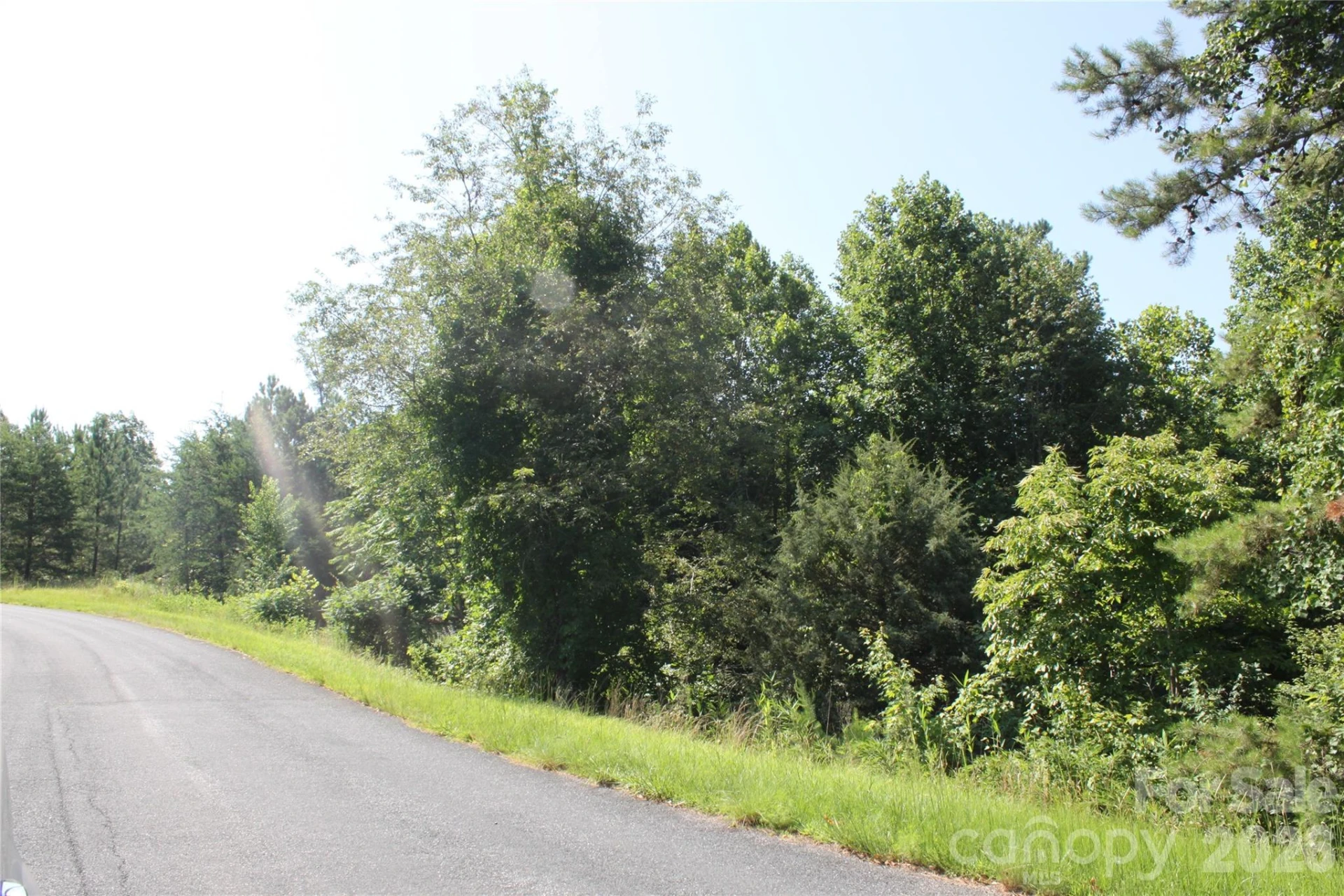 Lot #28 Lake Adger Parkway - Photo 4