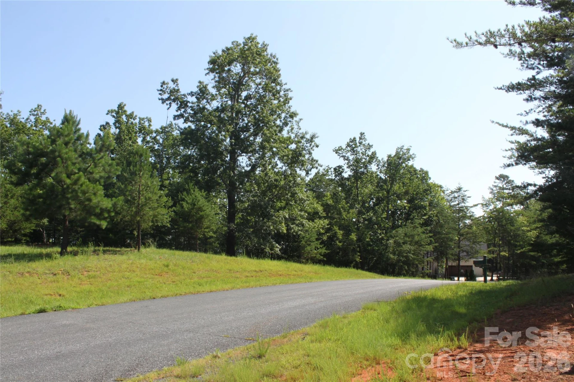 Lot #28 Lake Adger Parkway - Photo 5