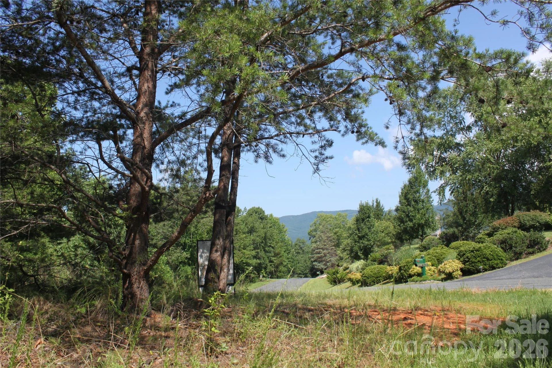 Lot #28 Lake Adger Parkway - Photo 6