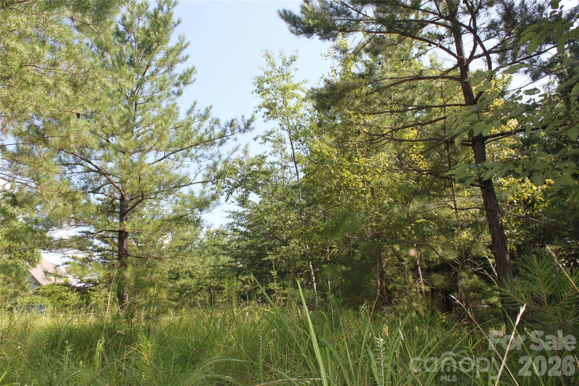 Lot #28 Lake Adger Parkway - Photo 7