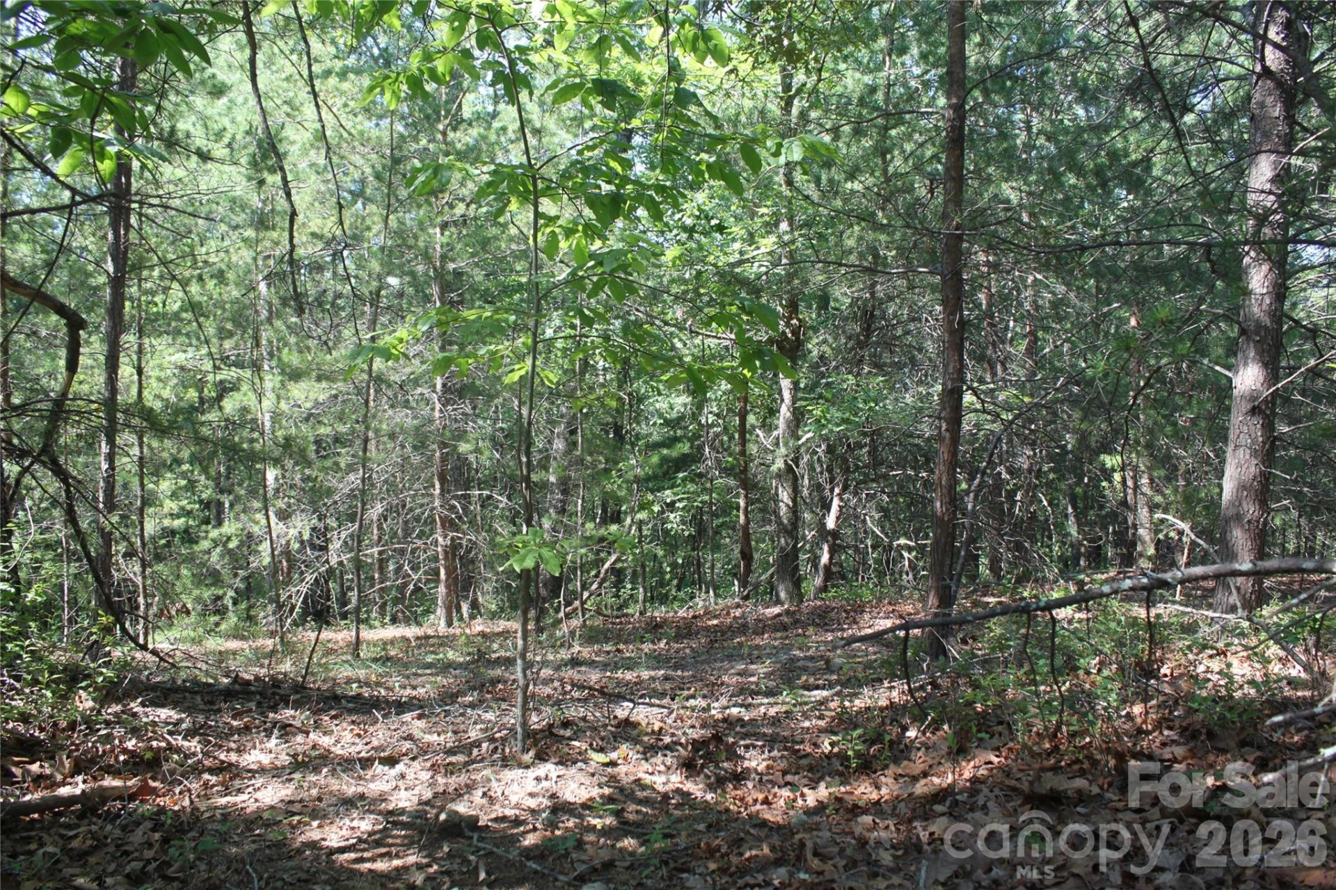 Lot #28 Lake Adger Parkway - Photo 8