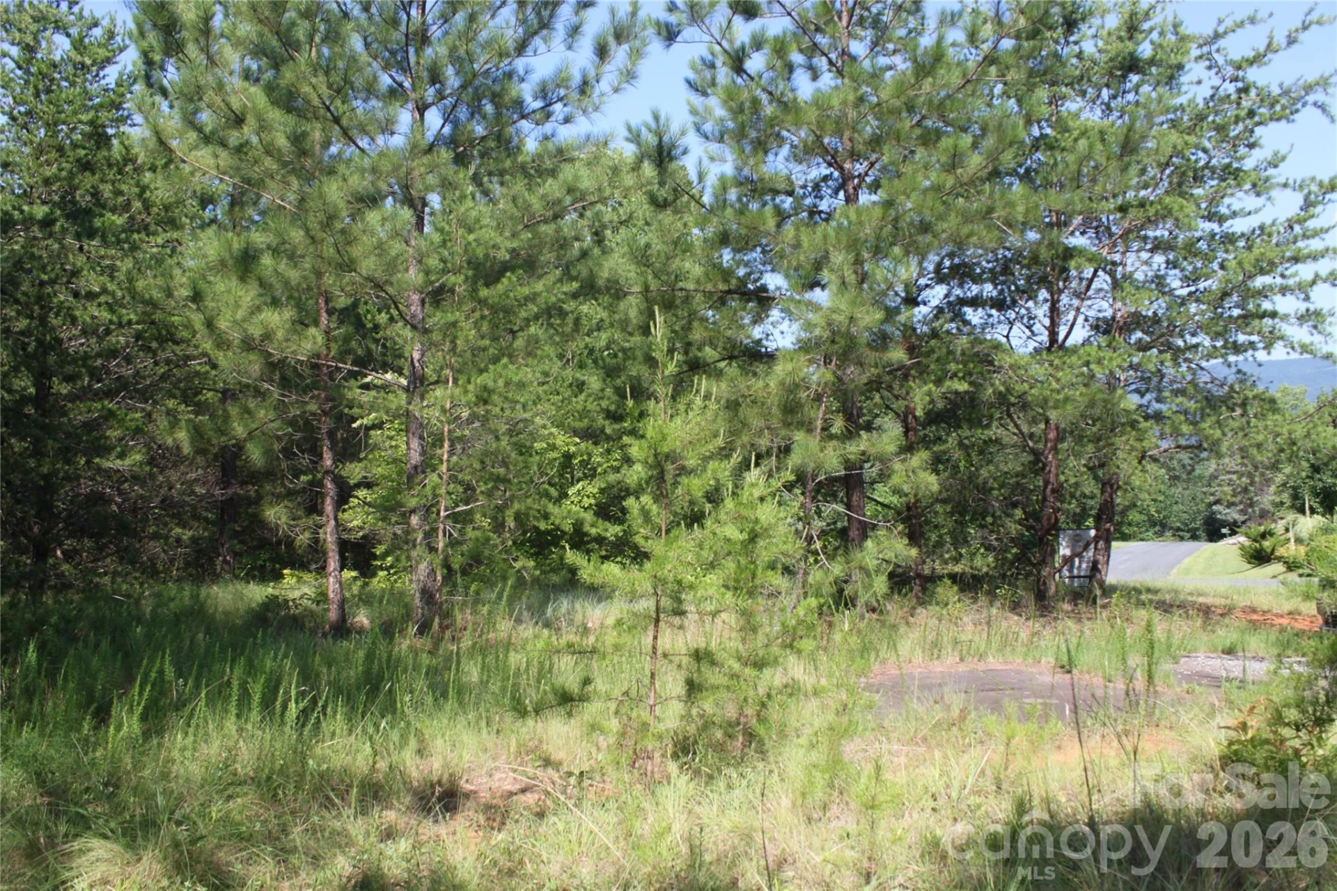 Lot #28 Lake Adger Parkway - Photo 9