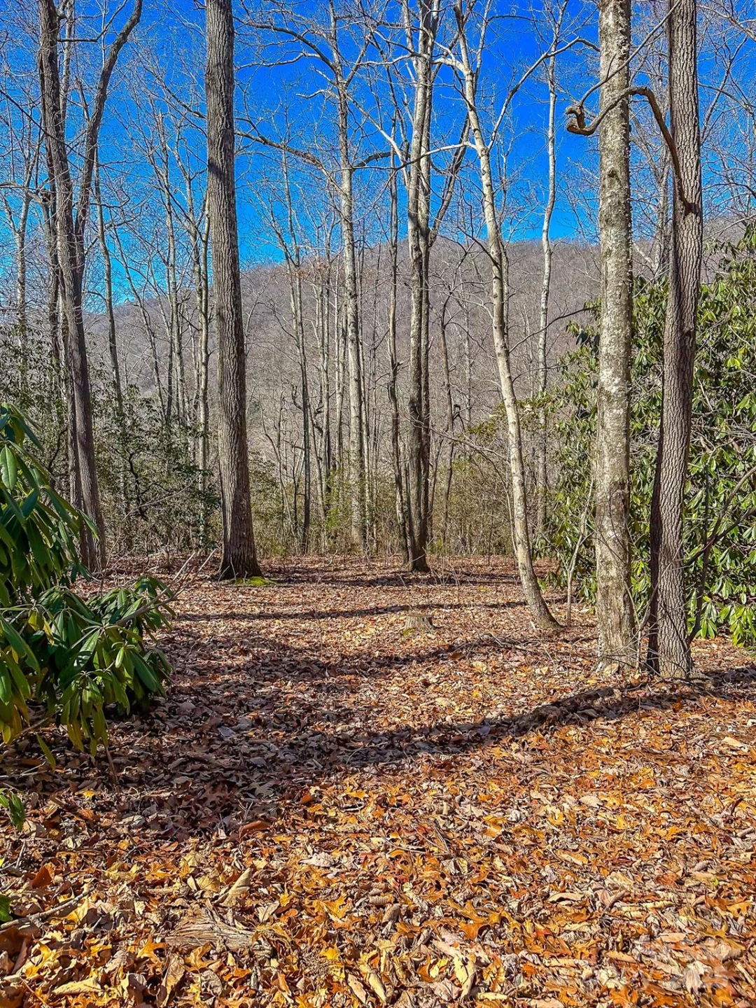 99999 Dark Cove Road - Photo 12