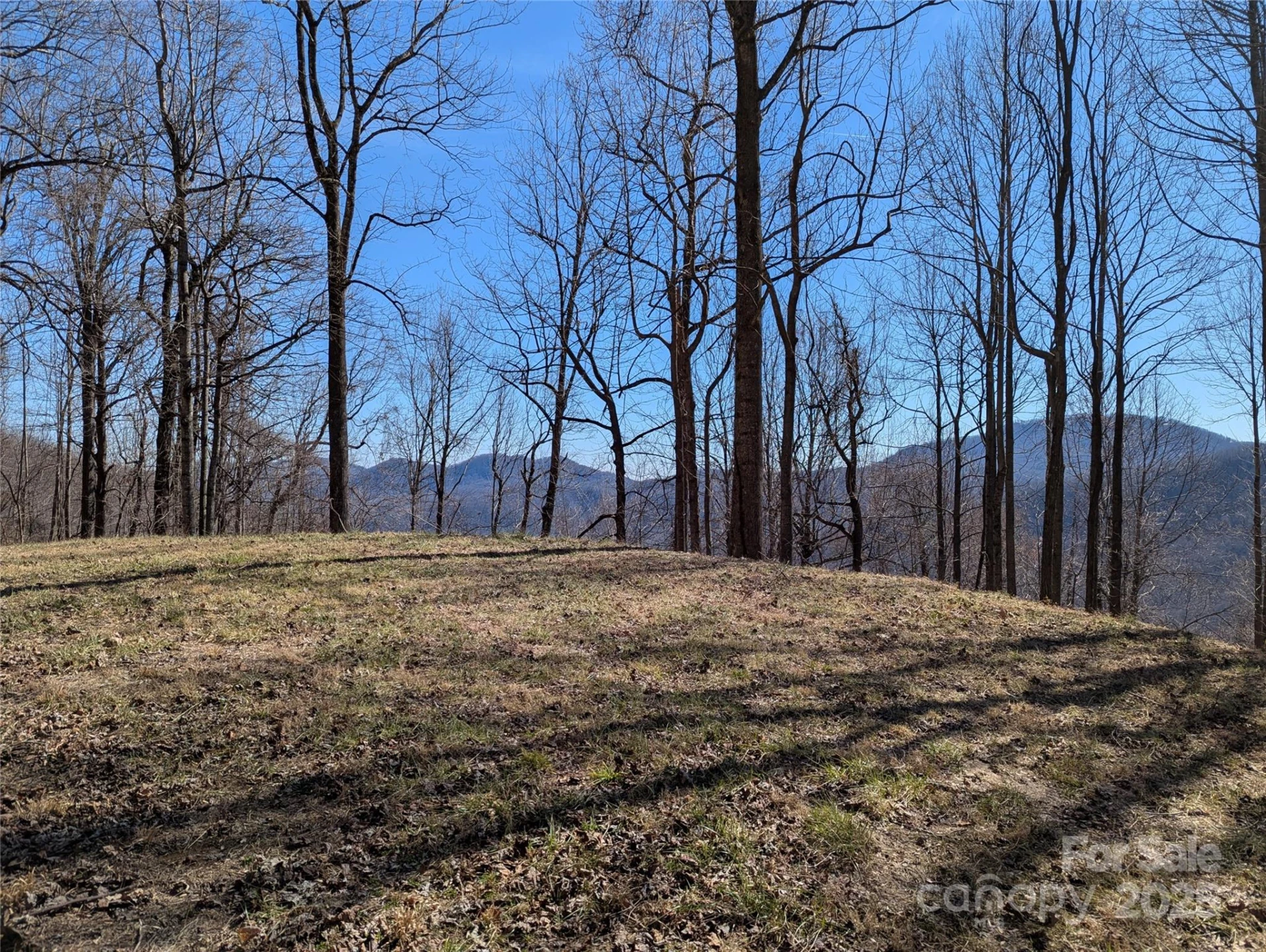 501 Warbler Lane #T-62 - Photo 3