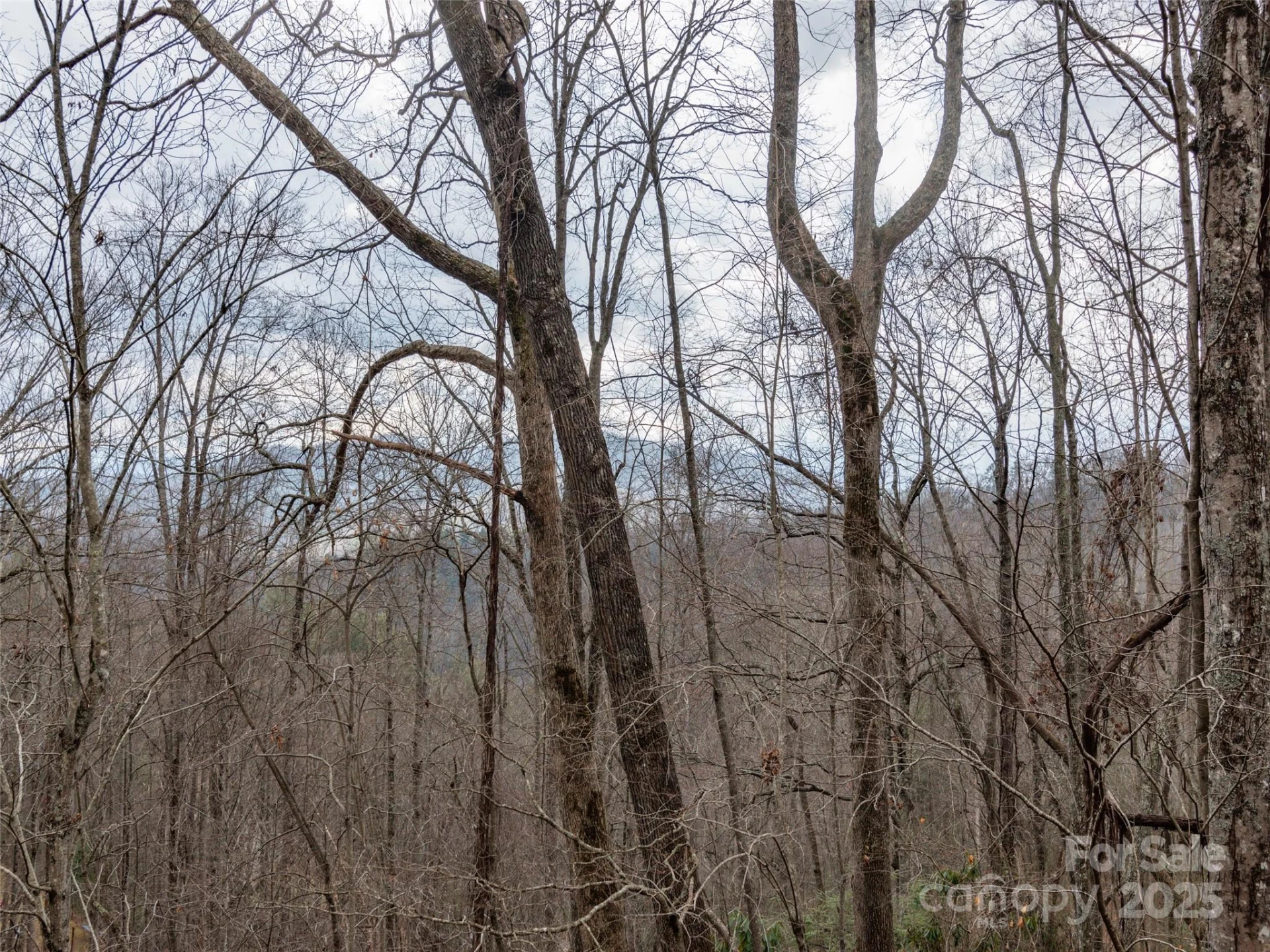 00 Cherry Berry Drive - Photo 2