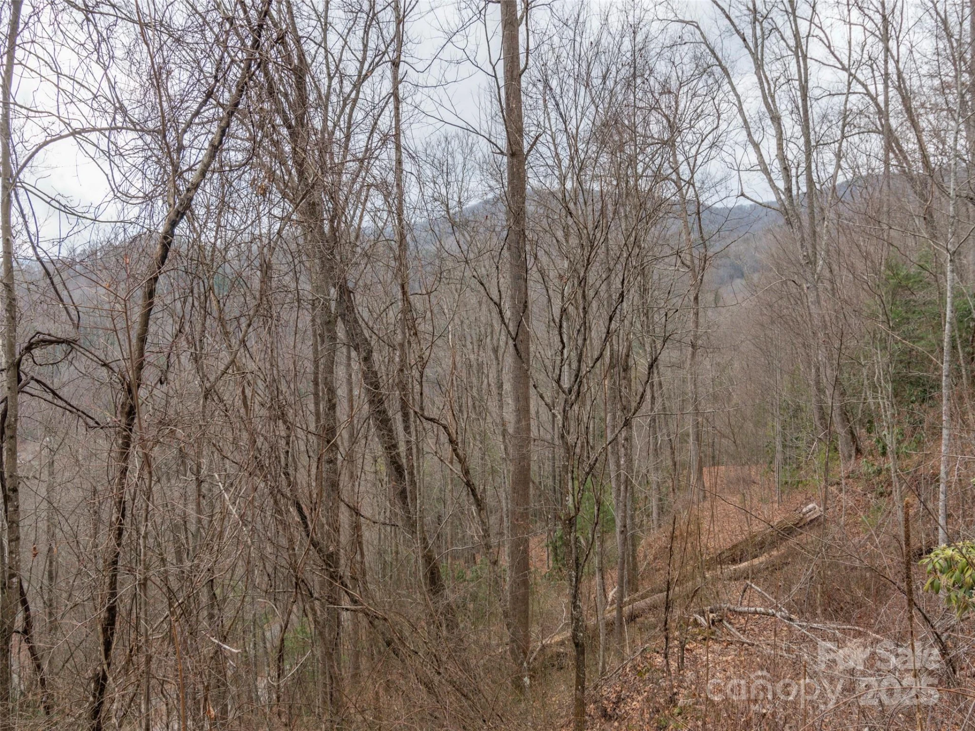 00 Cherry Berry Drive - Photo 3