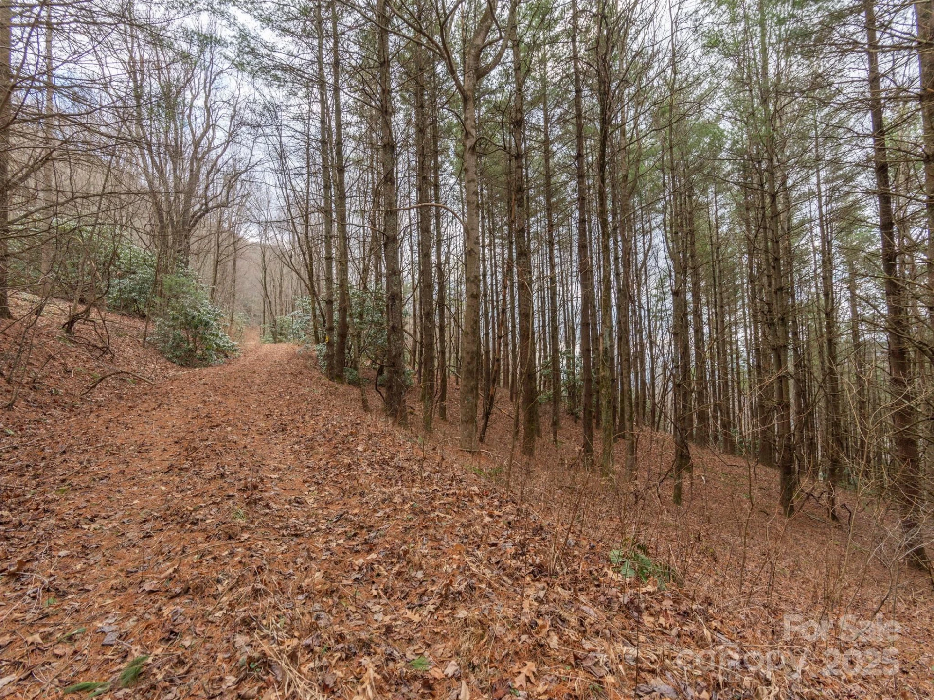00 Bald Creek Road