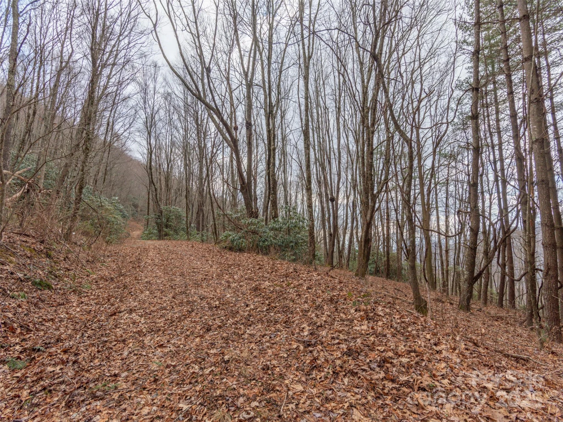 00 Bald Creek Road - Photo 2