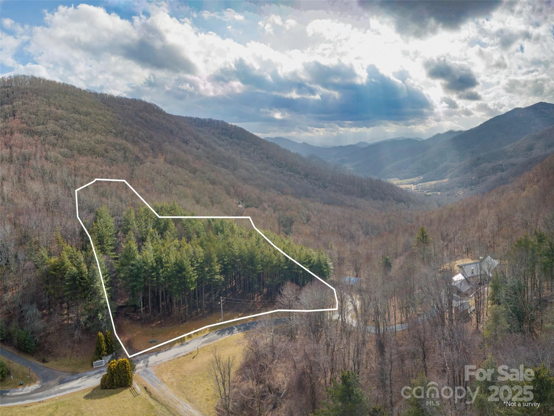 00 Bald Creek Road - Photo 11