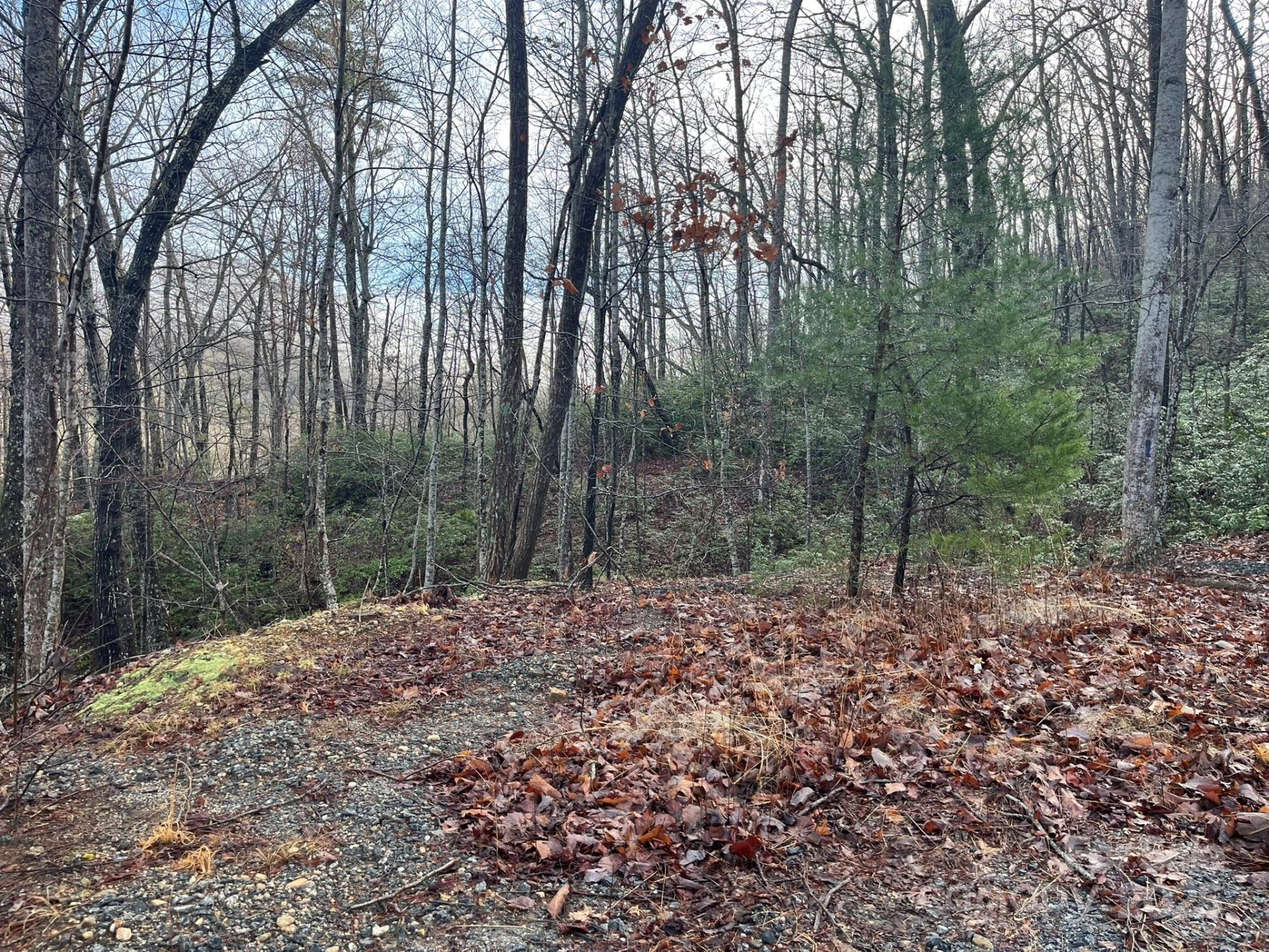 00 Ridgecrest Drive - Photo 10